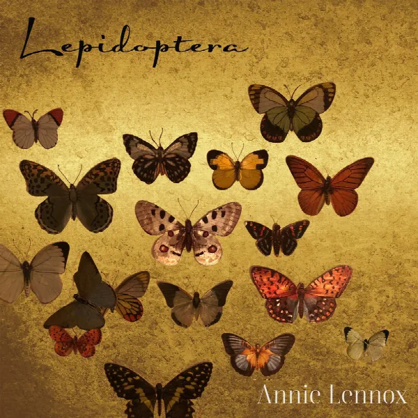 Pochette de Lepidoptera