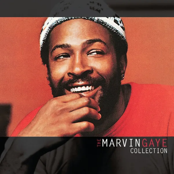 Pochette de The Marvin Gaye Collection