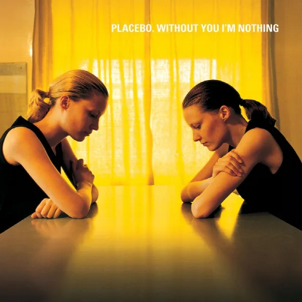 Pochette de Without You I'm Nothing