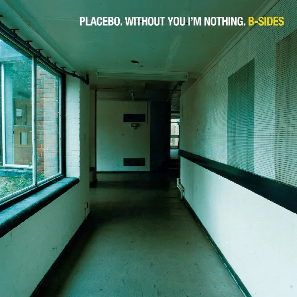 Pochette de Without You I'm Nothing: B-Sides