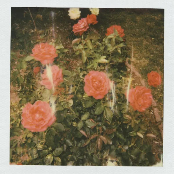 Pochette de chapter 2