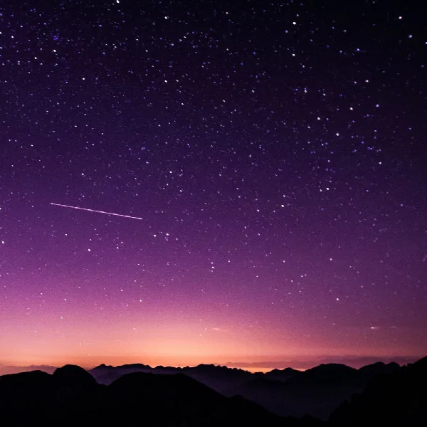 Pochette de Cinematic Nights