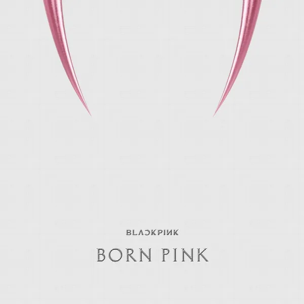 Pochette de BORN PINK