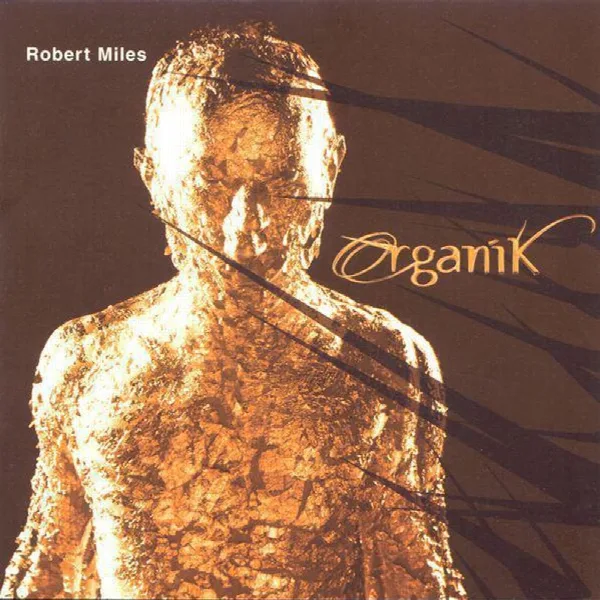 Pochette de Organik