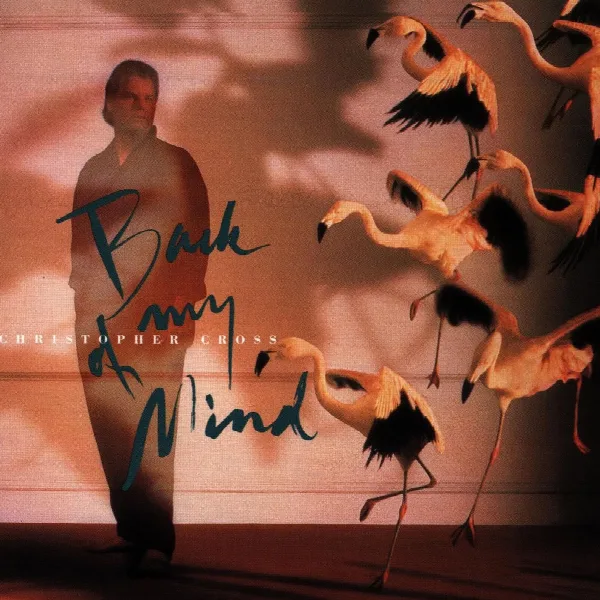 Pochette de Back of My Mind