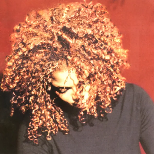 Pochette de The Velvet Rope
