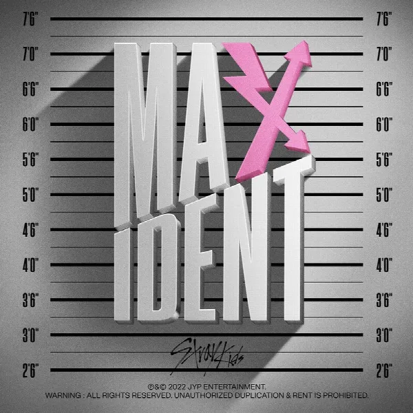 Pochette de MAXIDENT