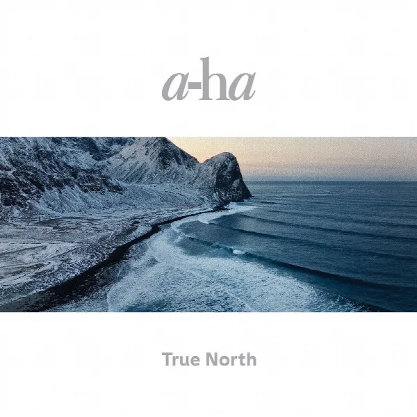 Pochette de True North