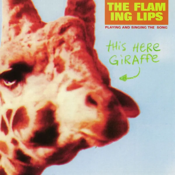 Pochette de This Here Giraffe
