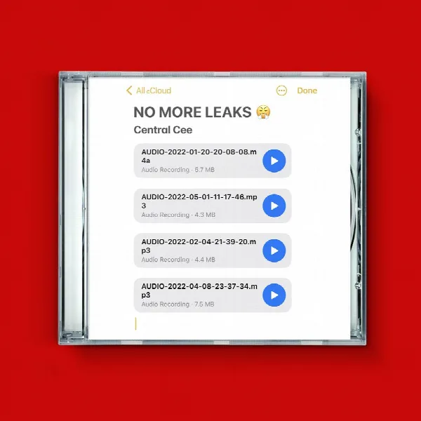 Pochette de No More Leaks