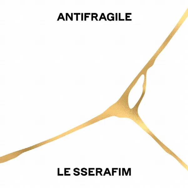 Pochette de ANTIFRAGILE