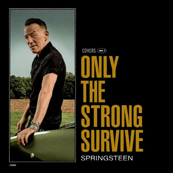 Pochette de Only the Strong Survive