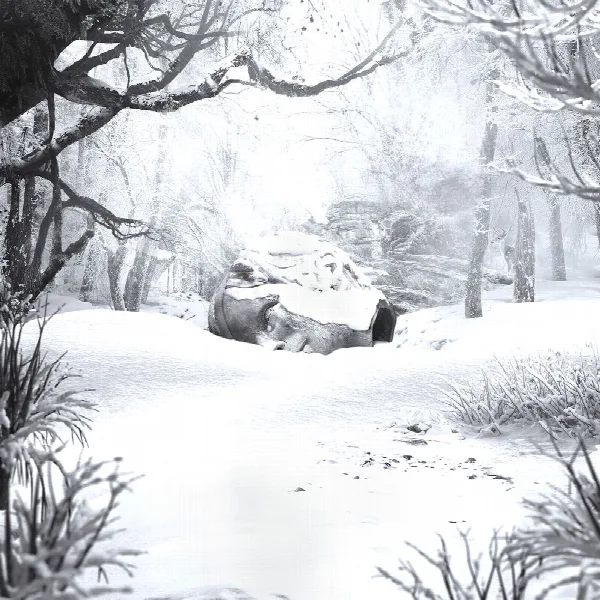 Pochette de SZNZ: Winter