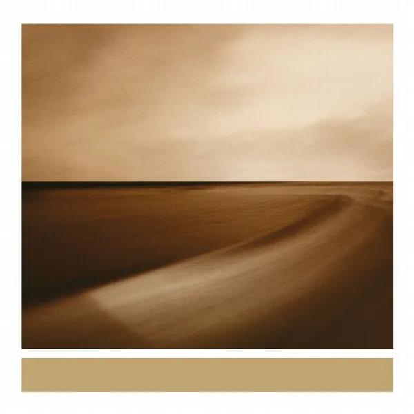 Pochette de Small Craft On A Milk Sea