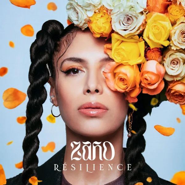Pochette de Résilience