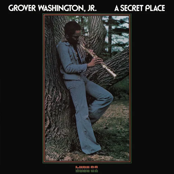 Pochette de A Secret Place