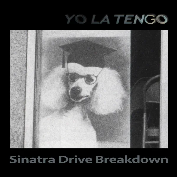 Pochette de Sinatra Drive Breakdown