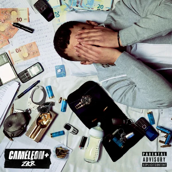 Pochette de Caméléon +