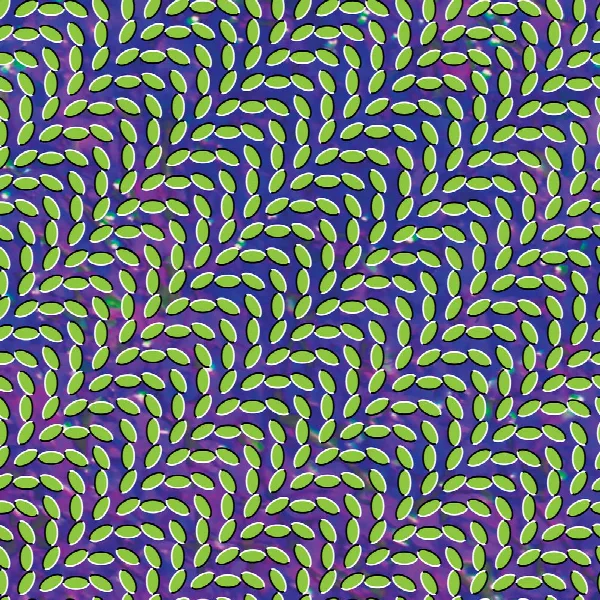 Pochette de Merriweather Post Pavilion