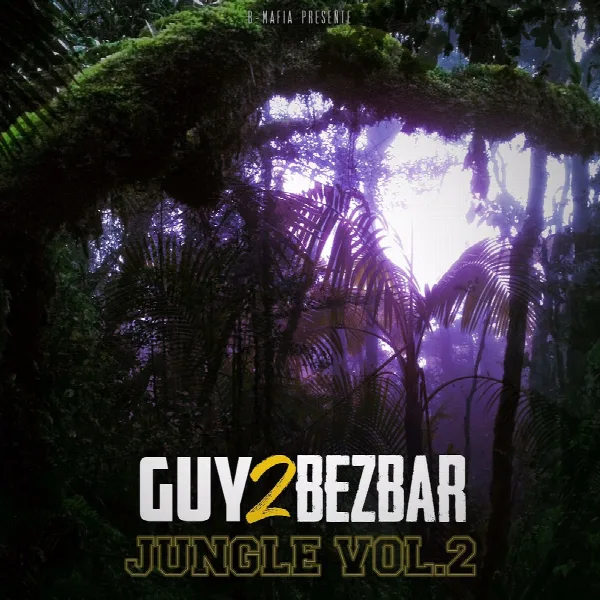 Pochette de Jungle, vol. 2