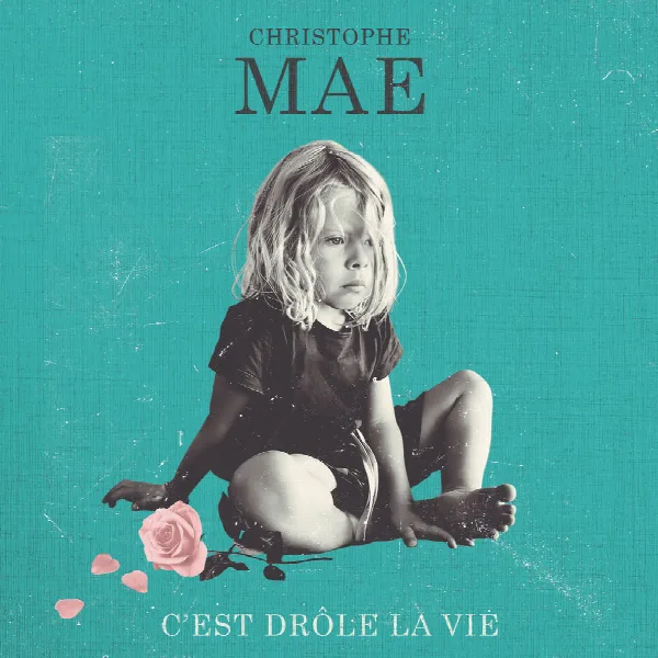 Pochette de C'est drôle la vie