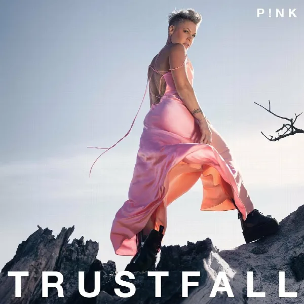 Pochette de TRUSTFALL