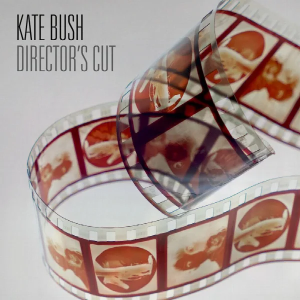 Pochette de Director's Cut