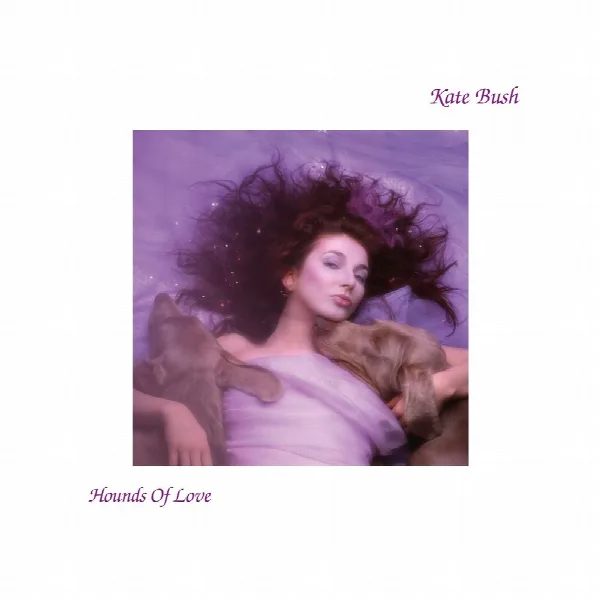 Pochette de Hounds Of Love