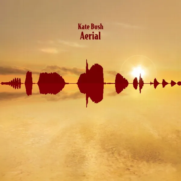 Pochette de Aerial
