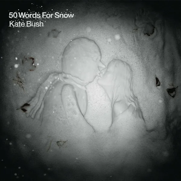 Pochette de 50 Words for Snow