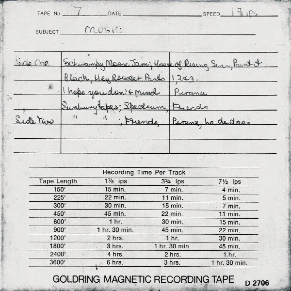 Pochette de Lasseter's Gold (Unreleased Demos)