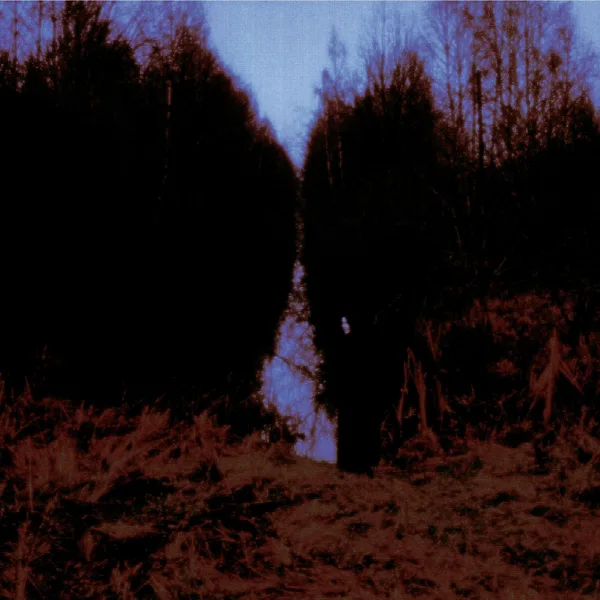 Pochette de My Arms, Your Hearse (Abbey Road Remaster)