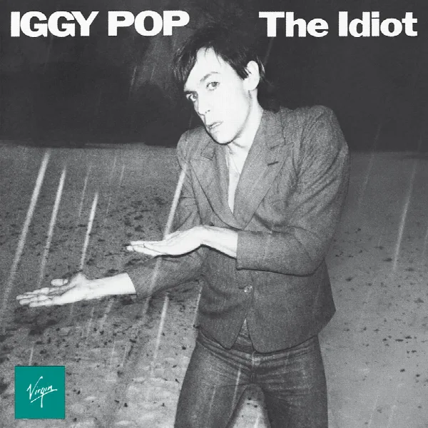 Pochette de The Idiot