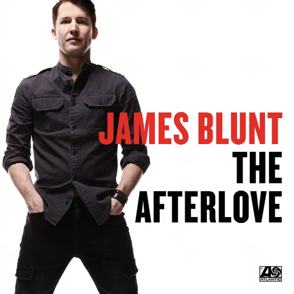 Pochette de The Afterlove