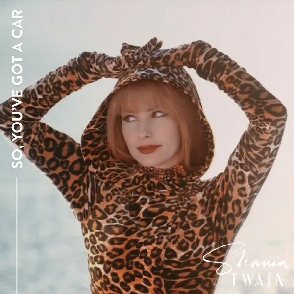 Pochette de So, You've Got A Car