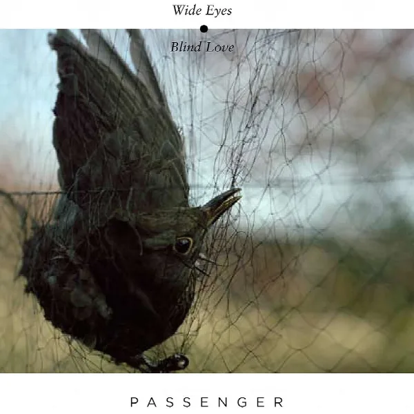 Pochette de Wide Eyes Blind Love