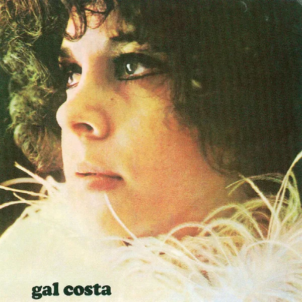 Pochette de Gal Costa