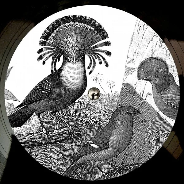 Pochette de Anna Lunoe & Friends