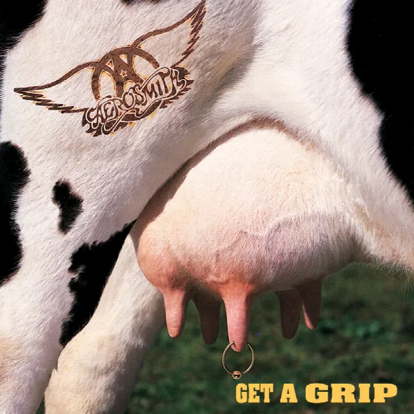 Pochette de Get A Grip