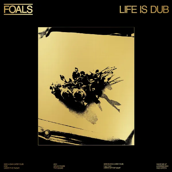 Pochette de Life Is Dub