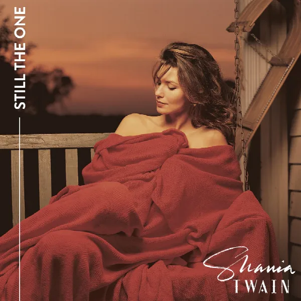 Pochette de Still The One