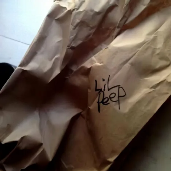 Pochette de feelz