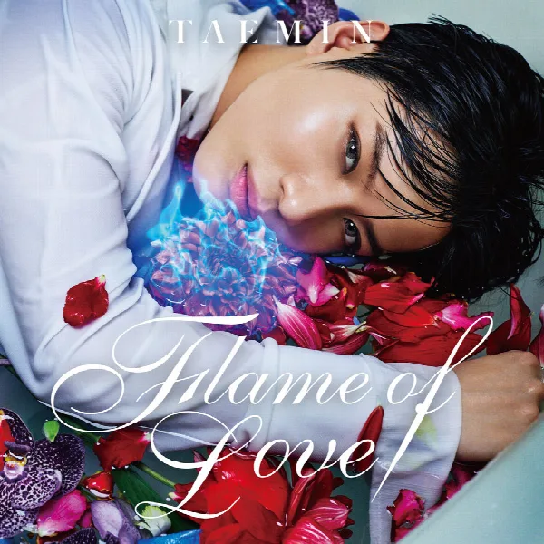 Pochette de Flame Of Love