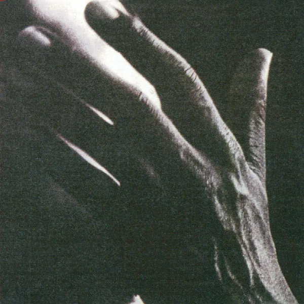 Pochette de Milagre Dos Peixes