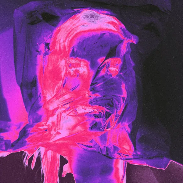 Pochette de Eat The Acid