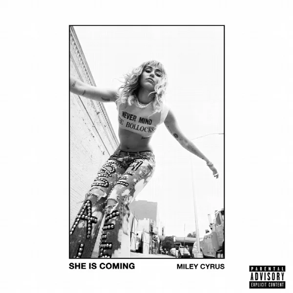 Pochette de SHE IS COMING