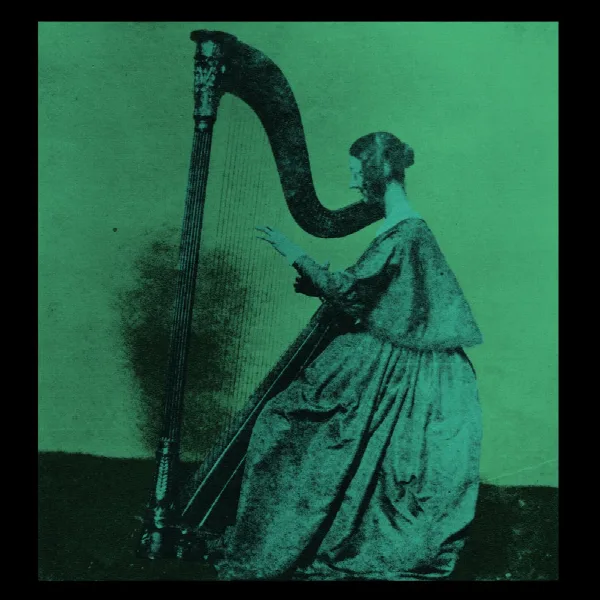 Pochette de Grapes Upon the Vine