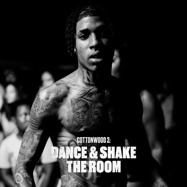 Pochette de Cottonwood 2: DANCE & SHAKE THE ROOM