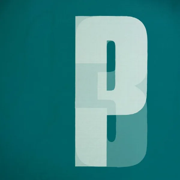 Pochette de Third