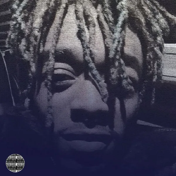 Pochette de 2 Luv Is 2 Rage